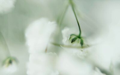Hypnothérapeute à Besançon: Pourquoi la volonté ne suffit pas contre l’anxiété